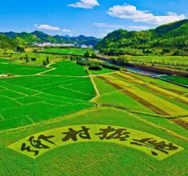 鄉(xiāng)村振興